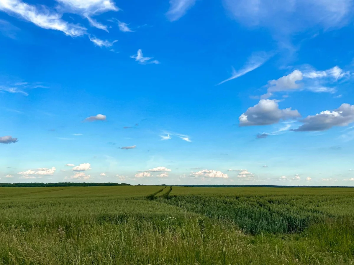 How Land is Measured Around the World: Acres, Hectares, Mu, Tsubo, and Rai Explained