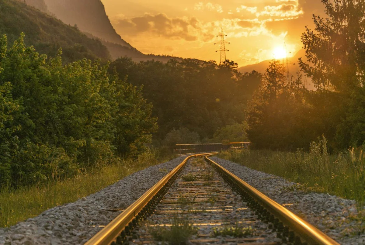 Resonance, Natural Frequency, and Why Bridges Collapse When Soldiers March in Step