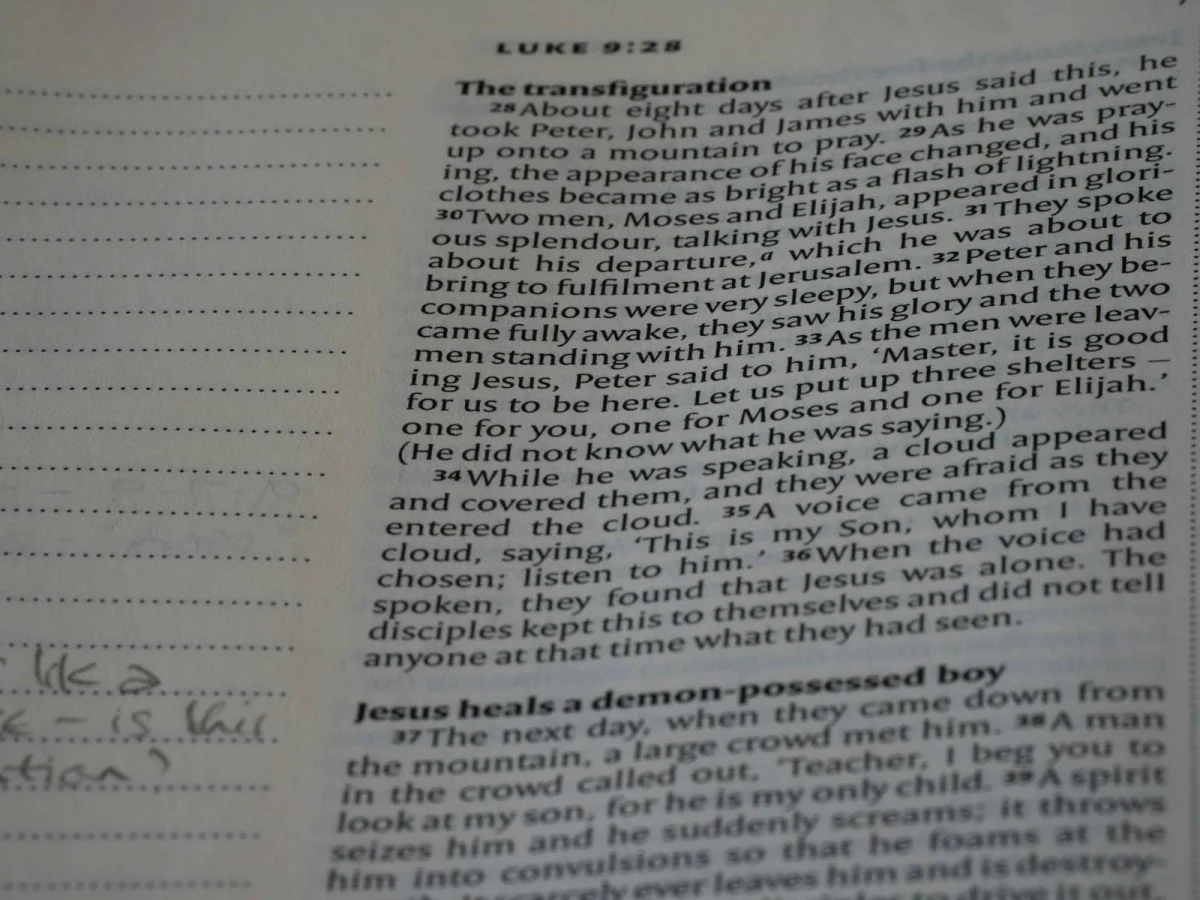 Text Truncator — Shorten Any Text to a Set Character or Word Limit
