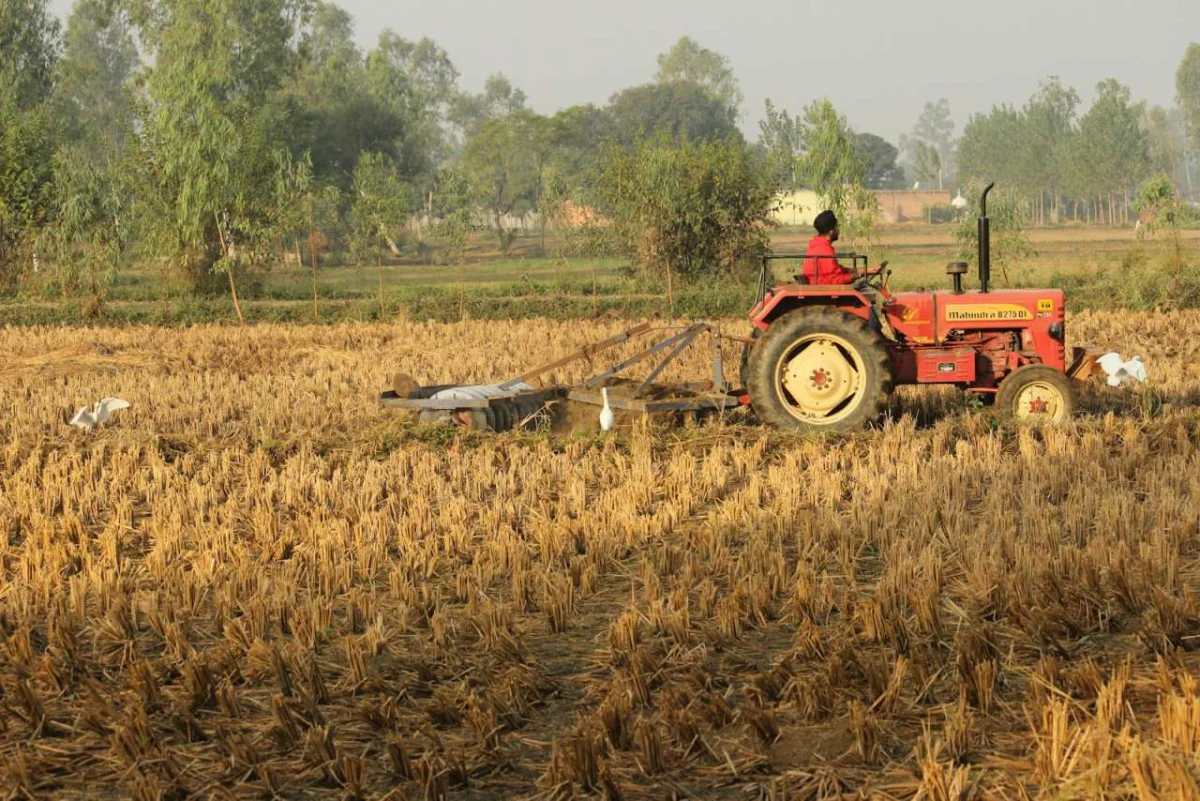 Why Hectares Were Designed for Farmers and How Area Measurement Works in Agriculture, Carbon, and Urban Planning