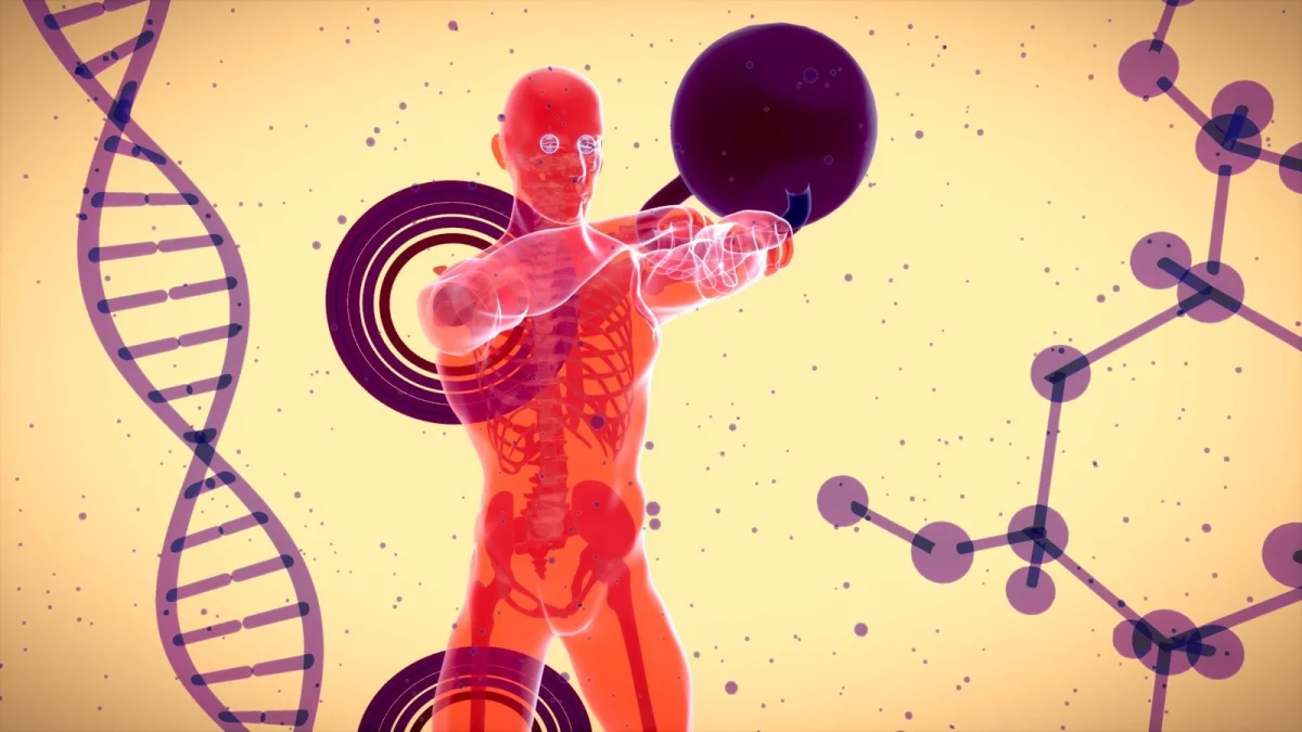 Set-Point Theory: Why Your Body Fights Weight Loss — and What the Science Actually Shows