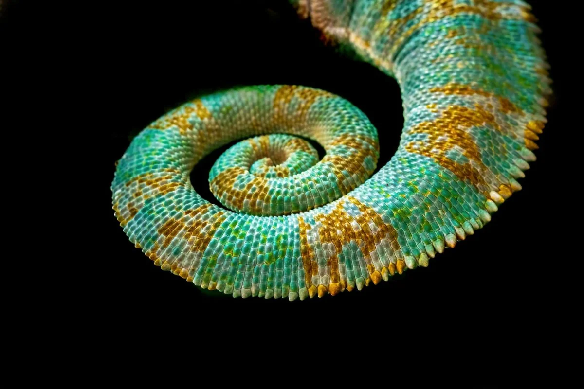 Hierarchical vs Flat URL Structure, Taxonomy Collisions, and Multilingual Slug Design — The Slug Decisions That Last Forever