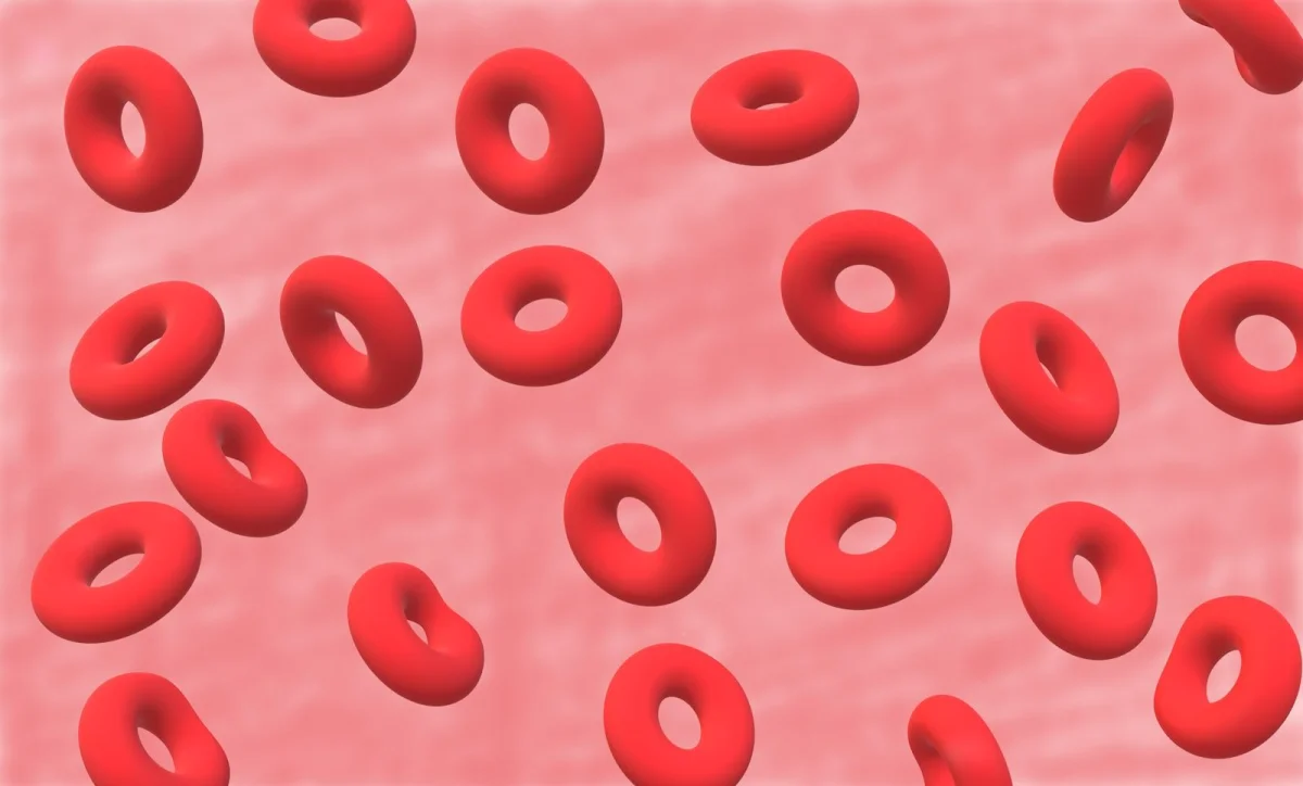 The Human Body Contains 42 Litres of Water — What Blood Volume, Lung Capacity, and Fluid Compartments Actually Mean Clinically