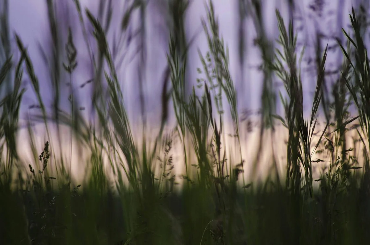 The Vary Header: Why Your Cache Serves the Wrong Content