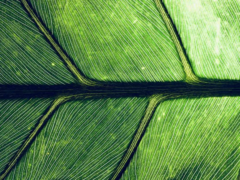 Organic CTR Optimisation: What Actually Makes People Click Your Search Result