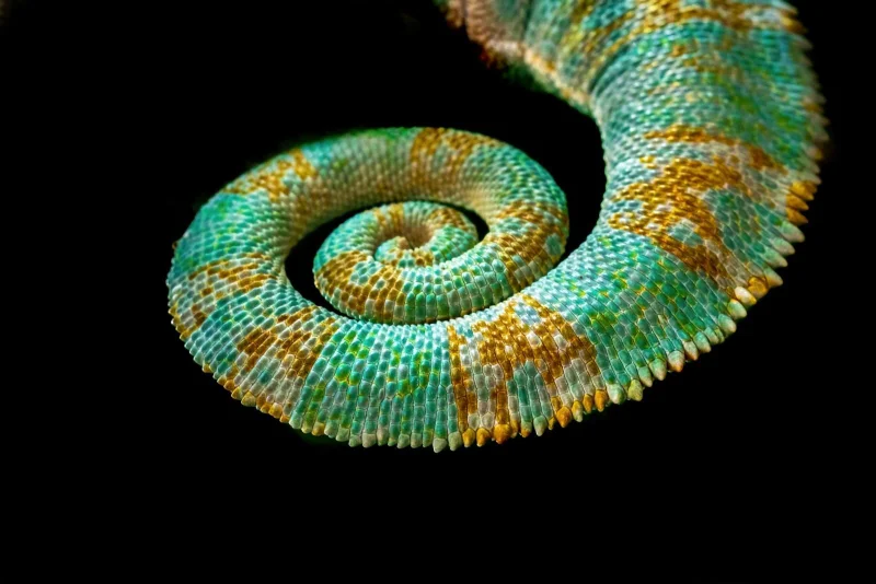 Hierarchical vs Flat URL Structure, Taxonomy Collisions, and Multilingual Slug Design — The Slug Decisions That Last Forever