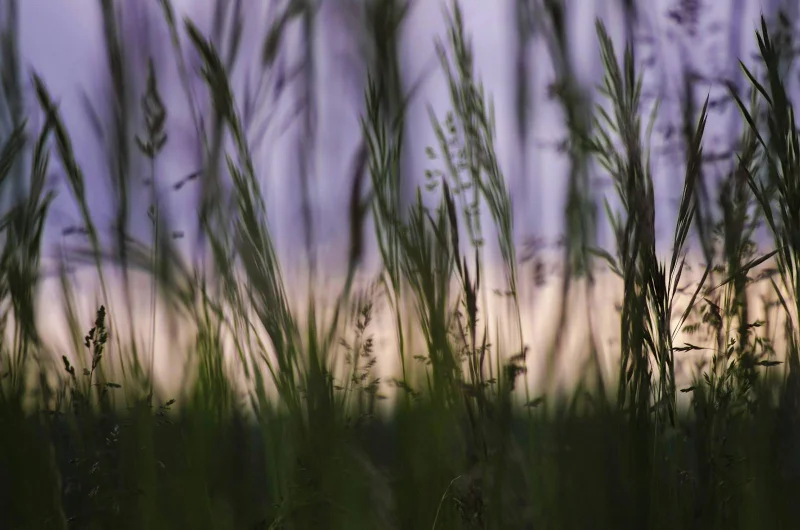 The Vary Header: Why Your Cache Serves the Wrong Content